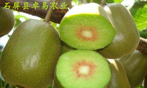 7月初果样2